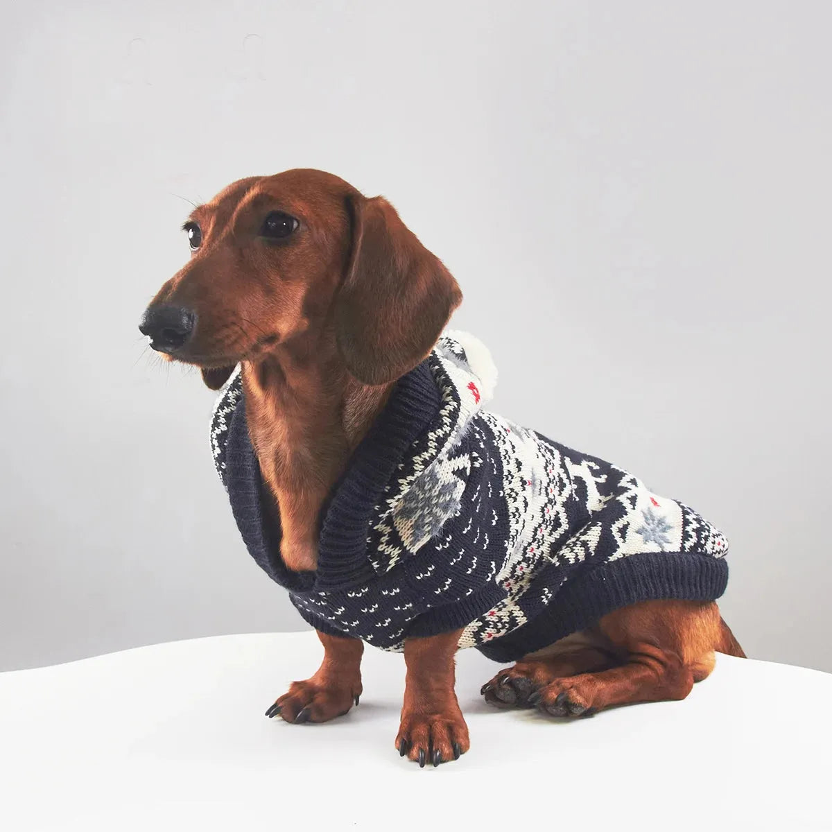 Dachshund Hooded Sweater The Doxie World