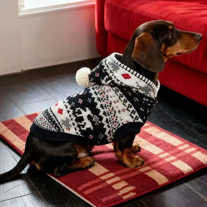 Dachshund Hooded Sweater XS The Doxie World