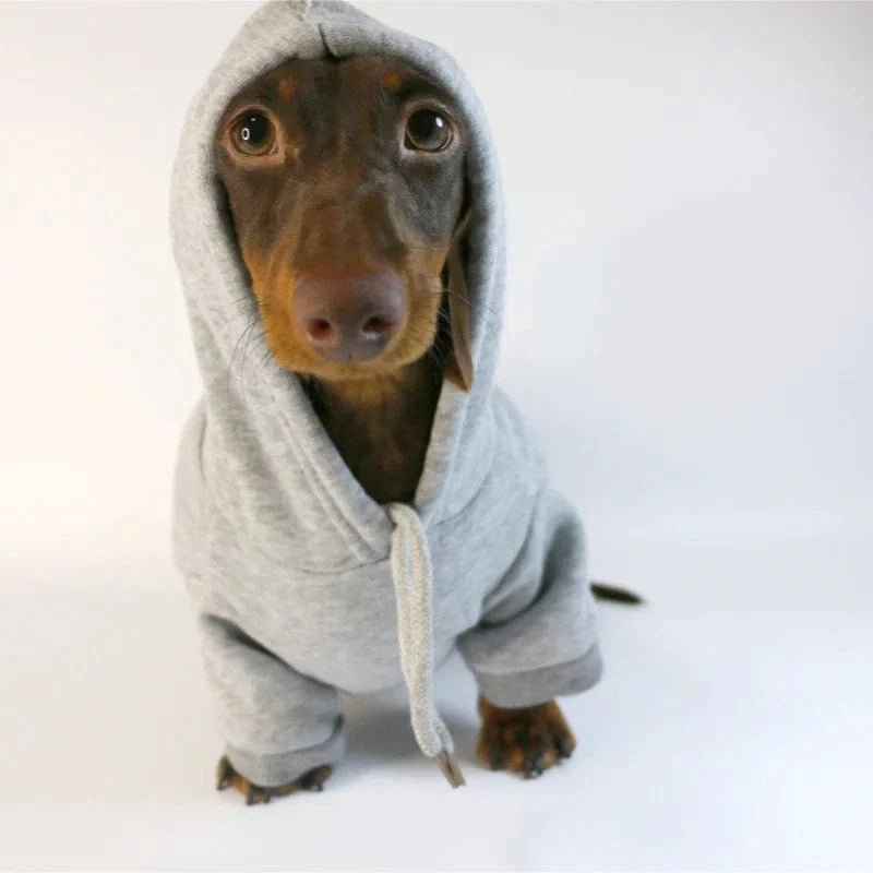 Dachshund Hoodie The Doxie World