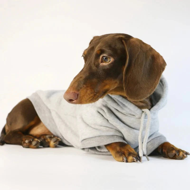 Dachshund Hoodie The Doxie World