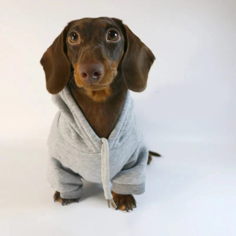 Dachshund Hoodie The Doxie World