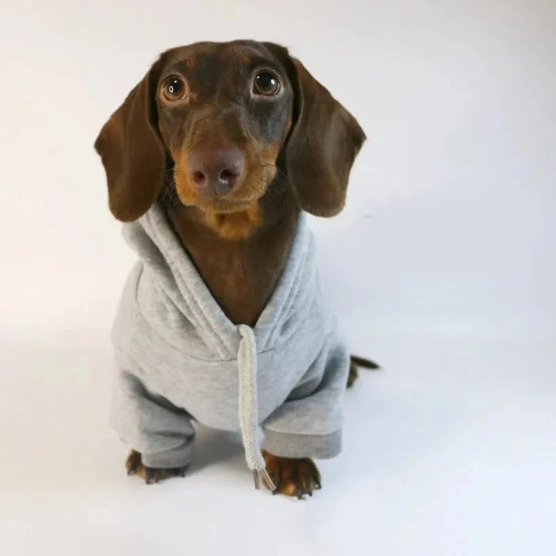 Dachshund Hoodie The Doxie World