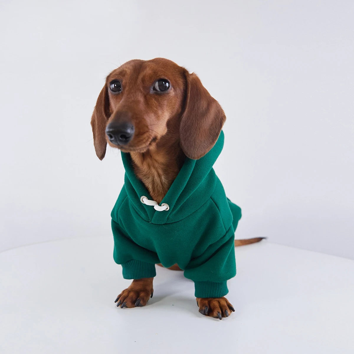 Dachshund Hoodie Green / S The Doxie World