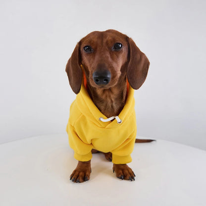 Dachshund Hoodie The Doxie World