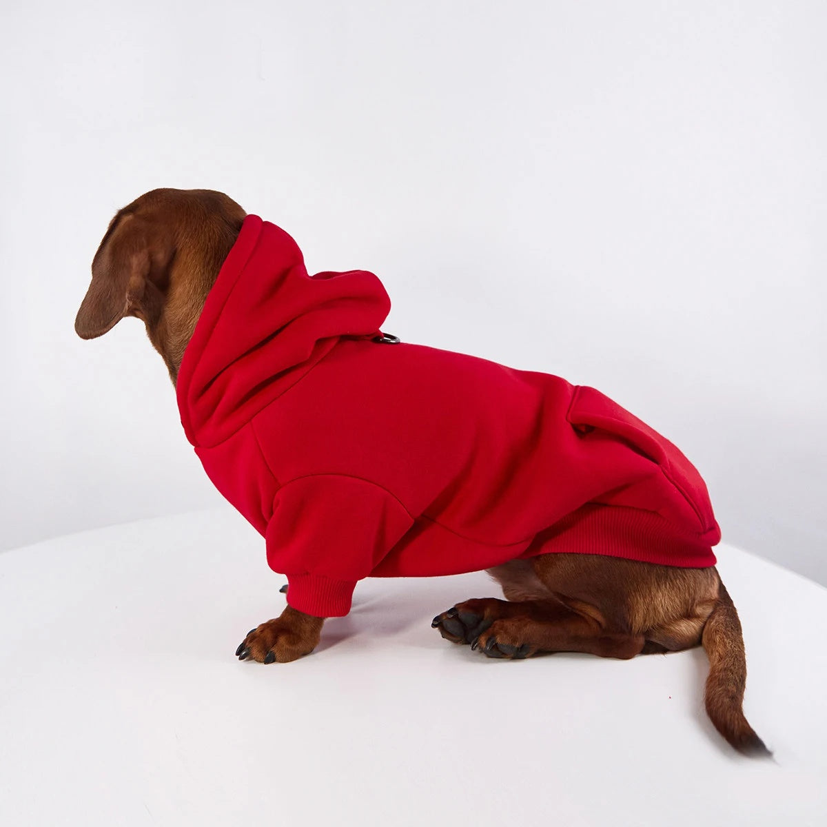 Dachshund Hoodie The Doxie World