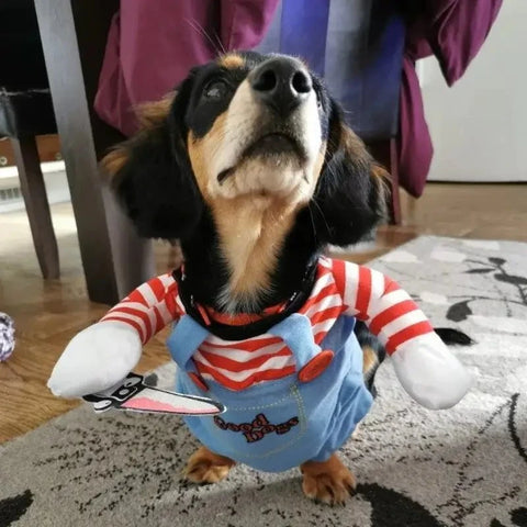 Dachshund Killer Costume The Doxie World