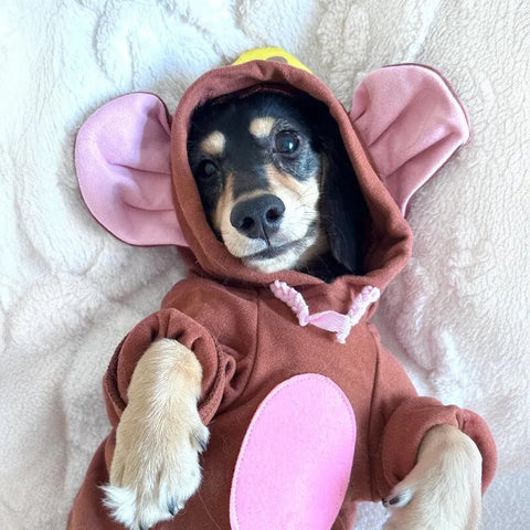 Dachshund Mouse Costume Brown / XS The Doxie World