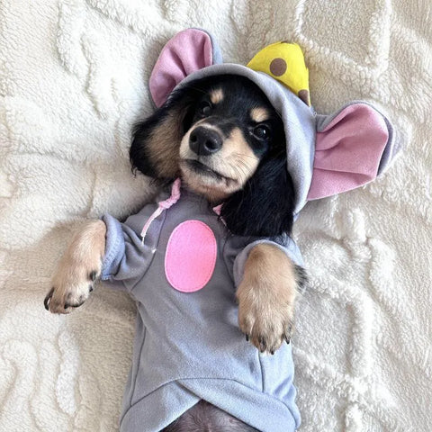 Dachshund Mouse Costume Gray / XS The Doxie World