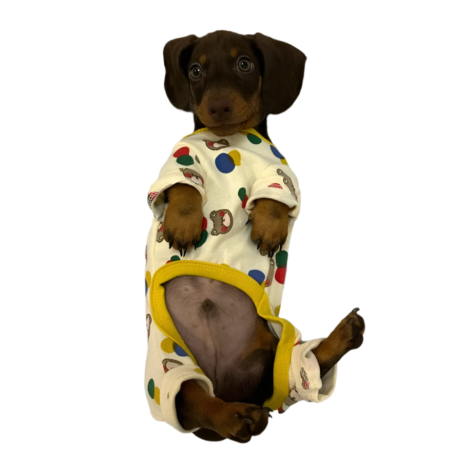 Dachshund Onesie Beige / S The Doxie World
