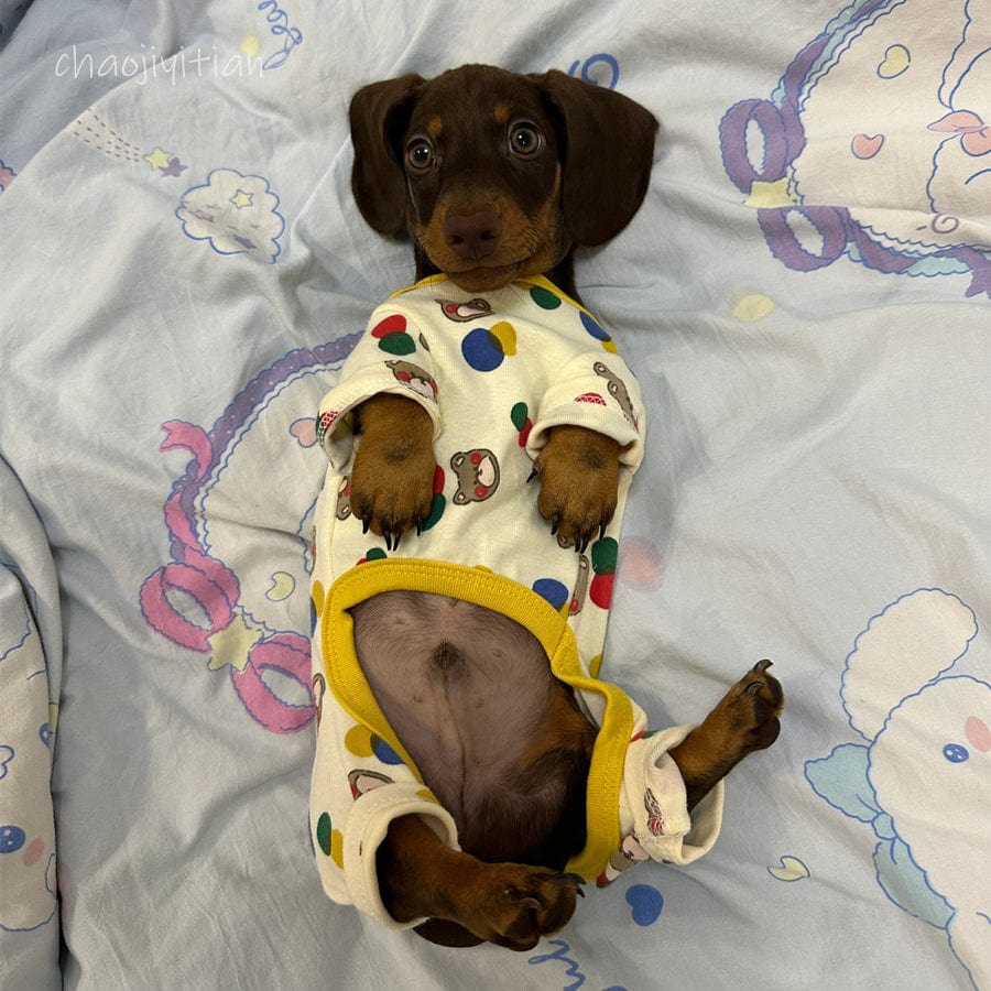 Dachshund Onesie The Doxie World