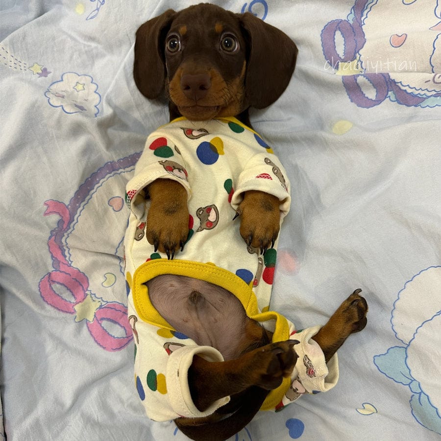 Dachshund Onesie The Doxie World