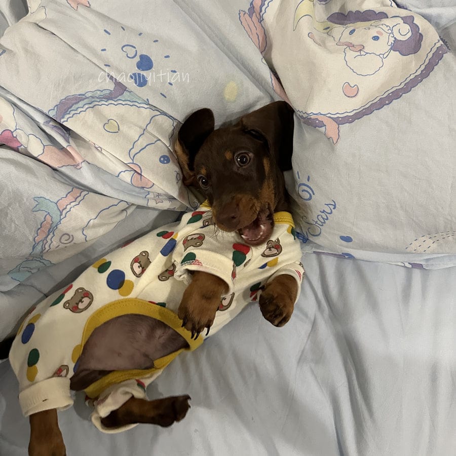 Dachshund Onesie The Doxie World