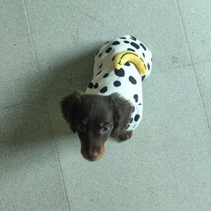 Dachshund Pajamas For Dogs The Doxie World