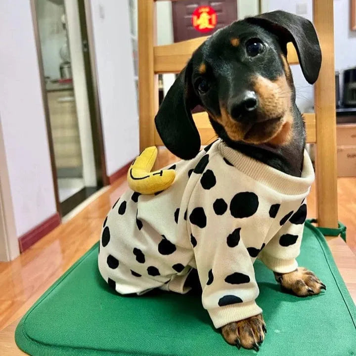 Dachshund Pajamas For Dogs The Doxie World