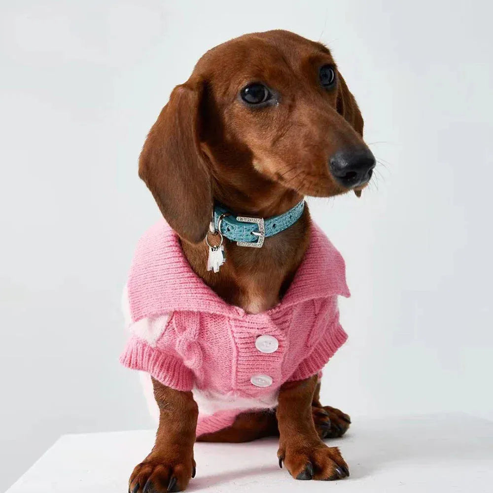 Dachshund Polo Sweater The Doxie World