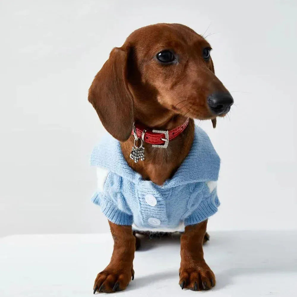 Dachshund Polo Sweater The Doxie World