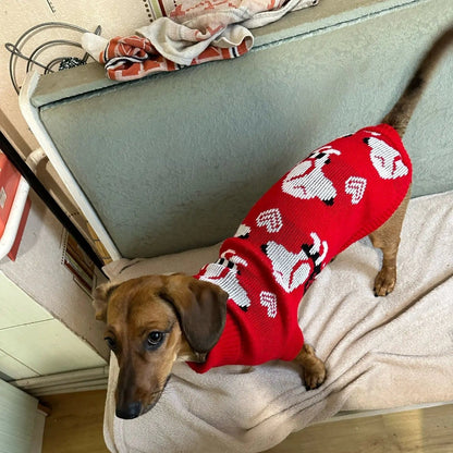 Dachshund Puppy Red Sweater The Doxie World