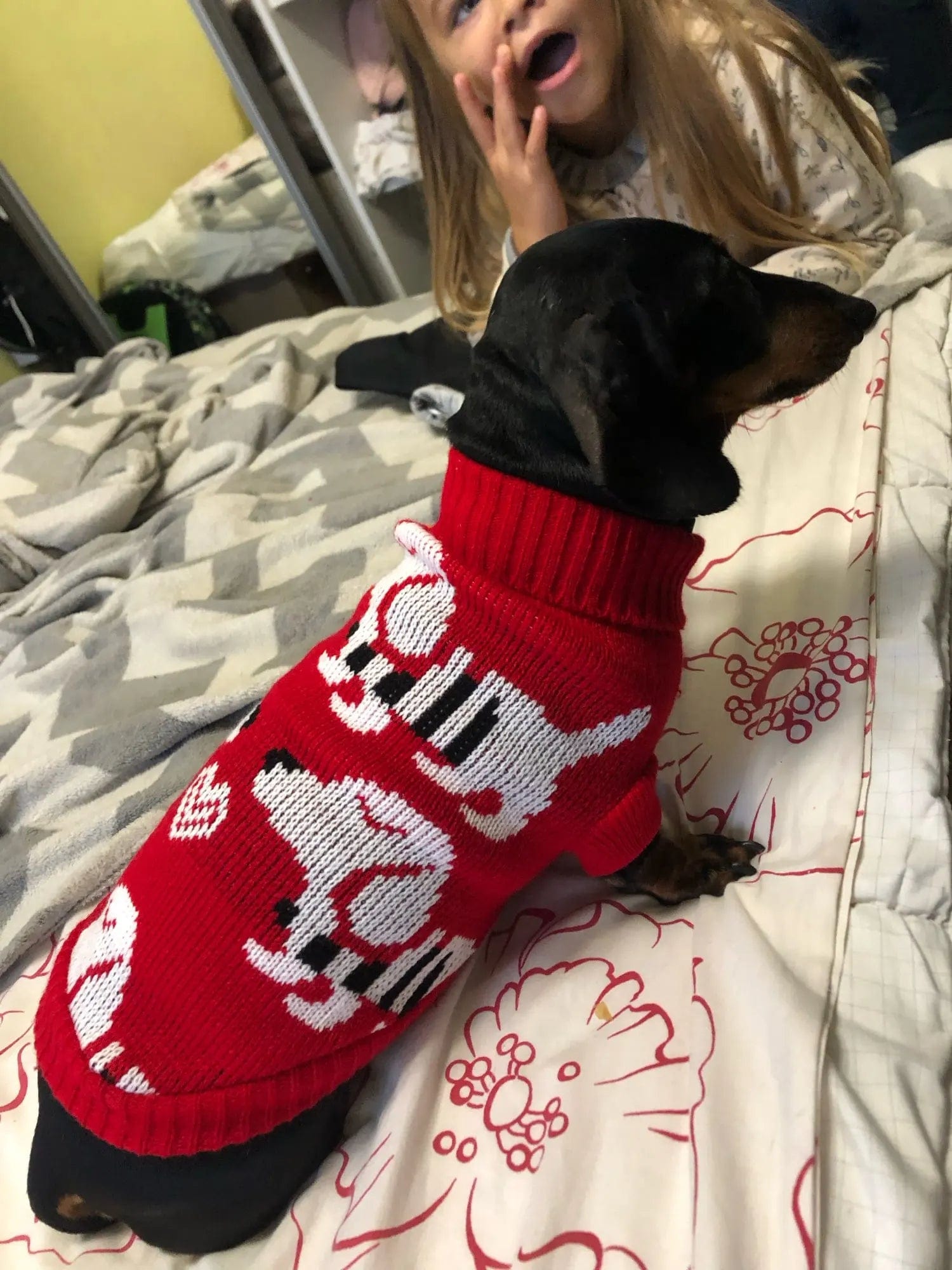 Dachshund Puppy Red Sweater The Doxie World