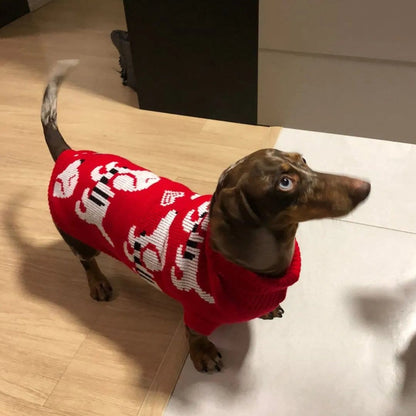 Dachshund Puppy Red Sweater The Doxie World