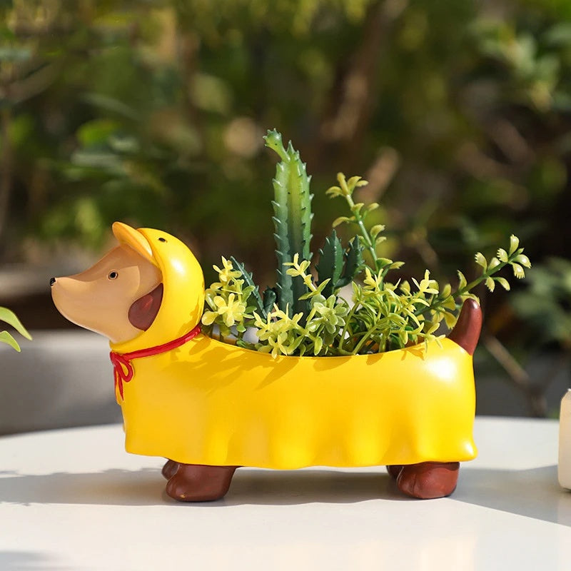 Dachshund Succulent Planter The Doxie World
