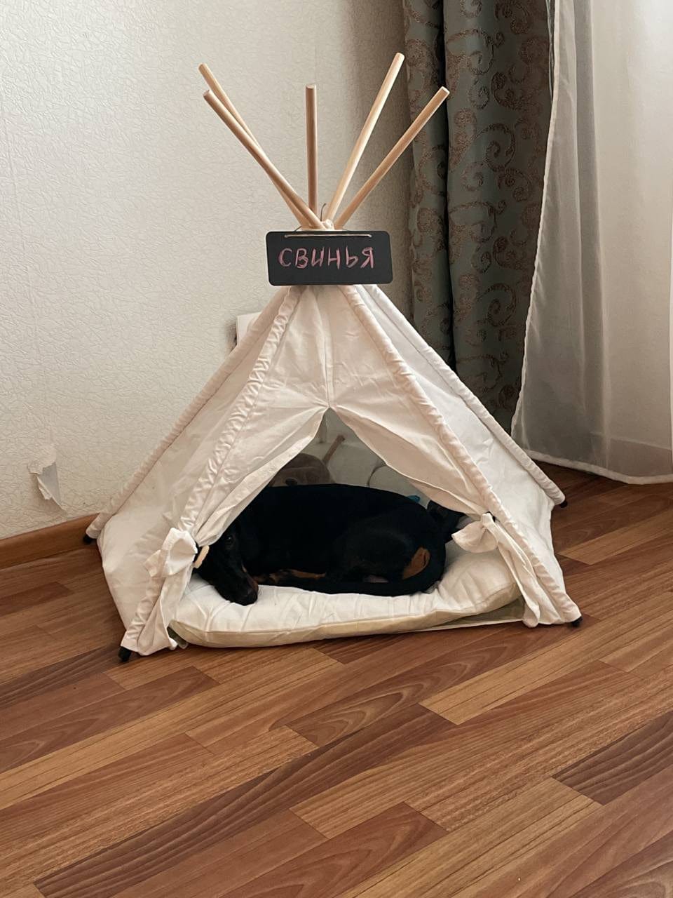 Dachshund Teepee Bed The Doxie World