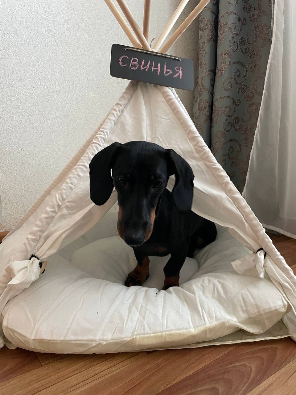 Dachshund Teepee Bed The Doxie World