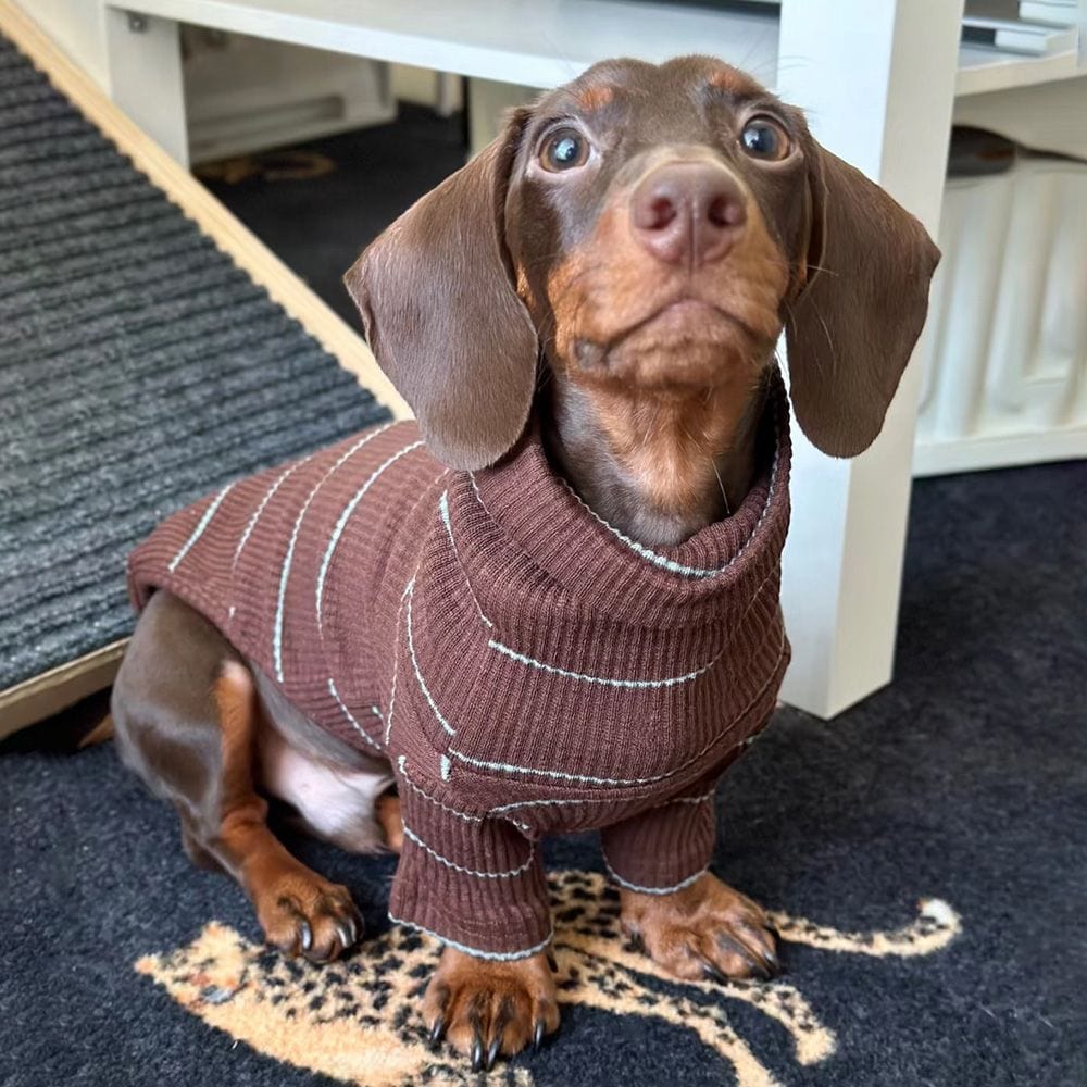 Dachshund Turtleneck The Doxie World