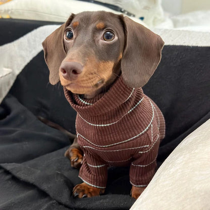 Dachshund Turtleneck The Doxie World