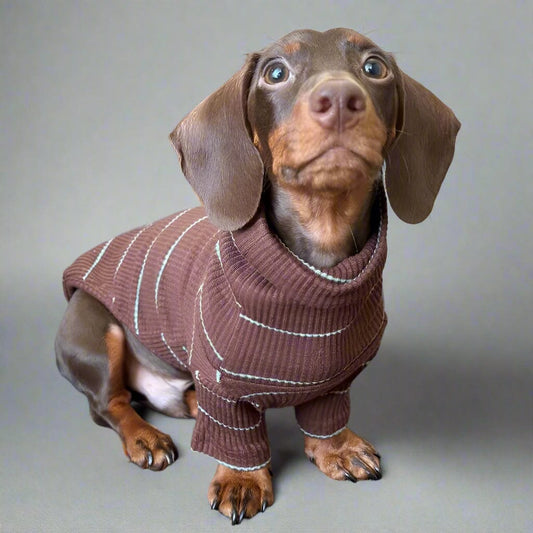 Dachshund Turtleneck S The Doxie World