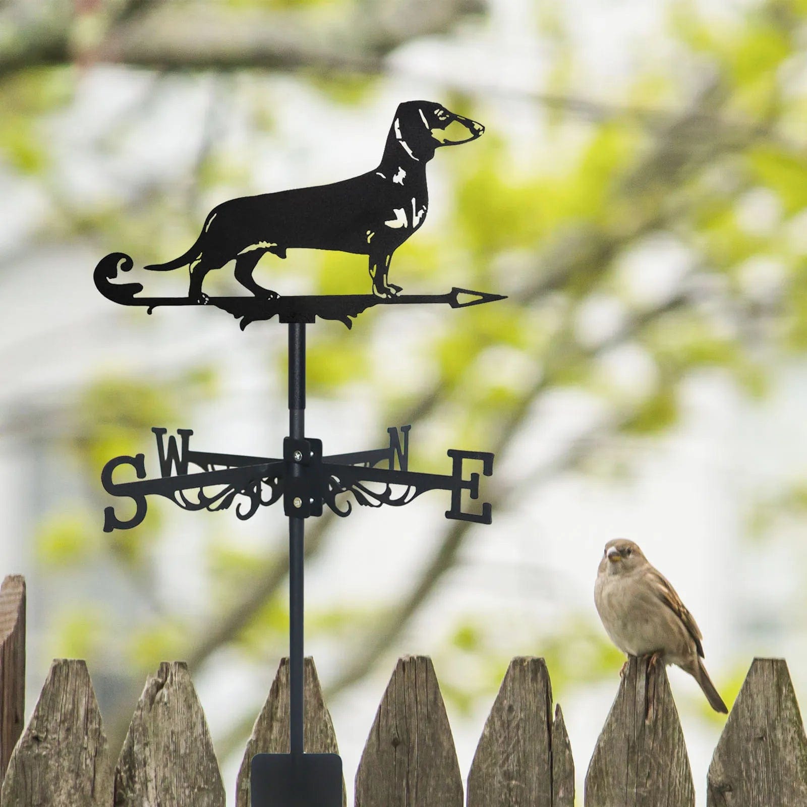 Dachshund Weather Vane The Doxie World