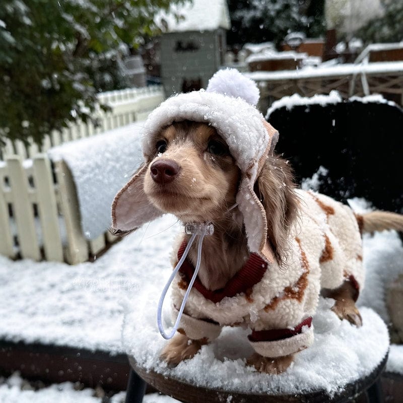 Dachshund Winter Hat The Doxie World