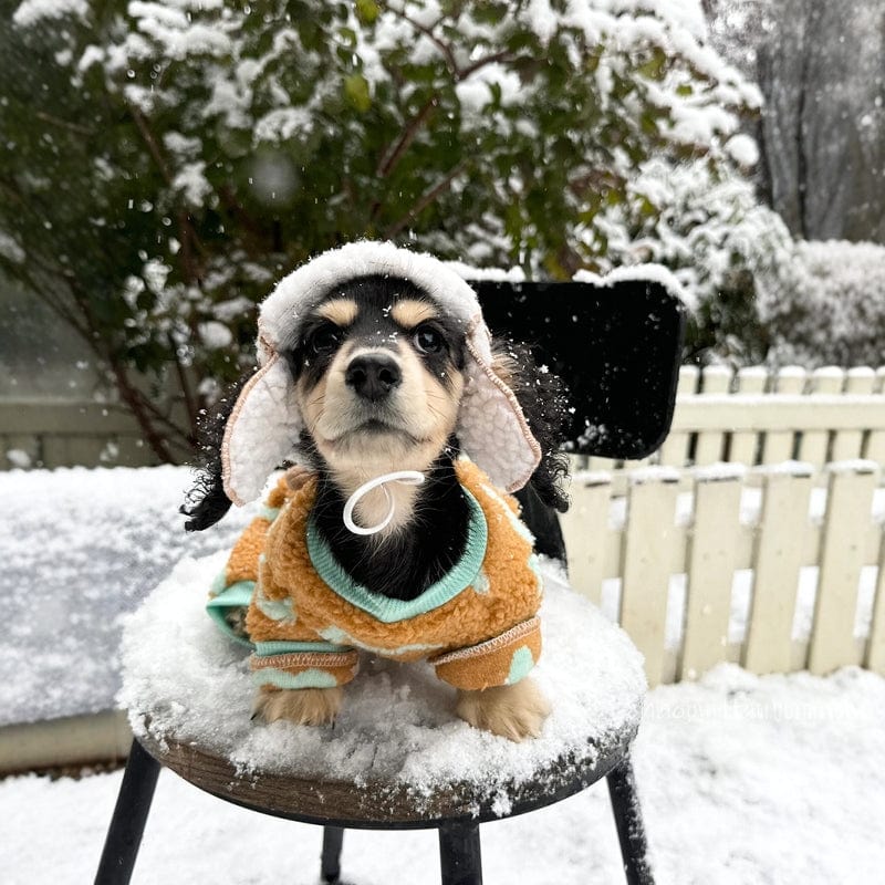 Dachshund Winter Hat The Doxie World