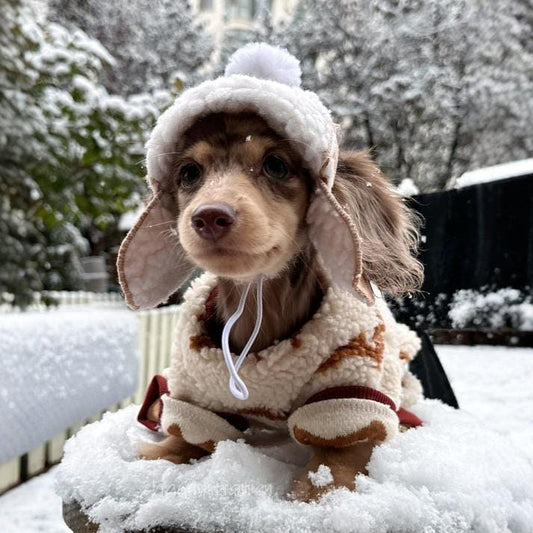 Dachshund Winter Hat The Doxie World