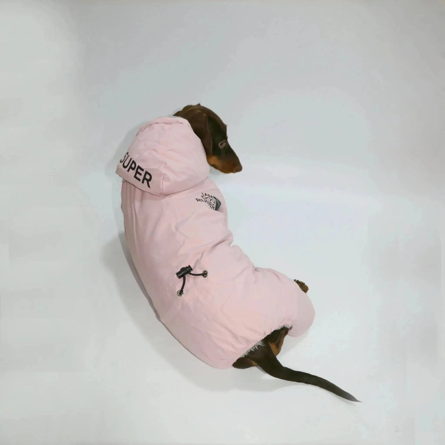 Dachshund Winter Overall The Doxie World