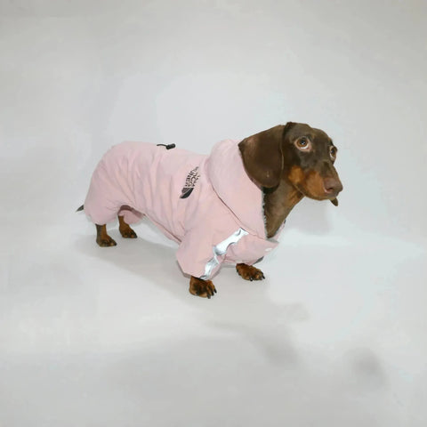 Dachshund Winter Overall Pink / S The Doxie World