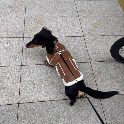 Dachshund Winter Waistcoat The Doxie World