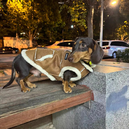 Dachshund Winter Waistcoat The Doxie World