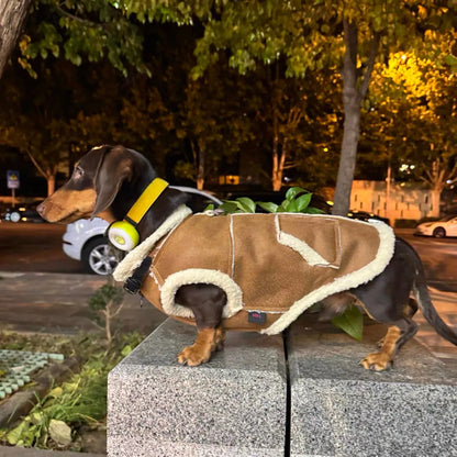 Dachshund Winter Waistcoat The Doxie World
