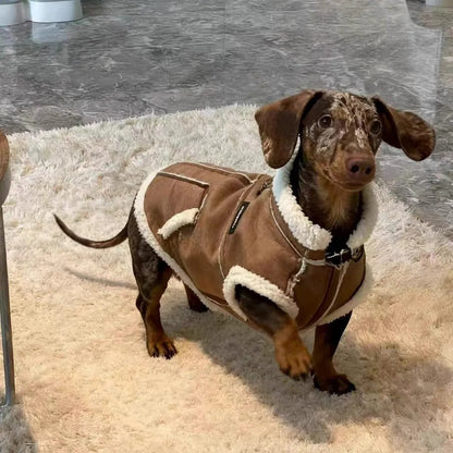 Dachshund Winter Waistcoat The Doxie World