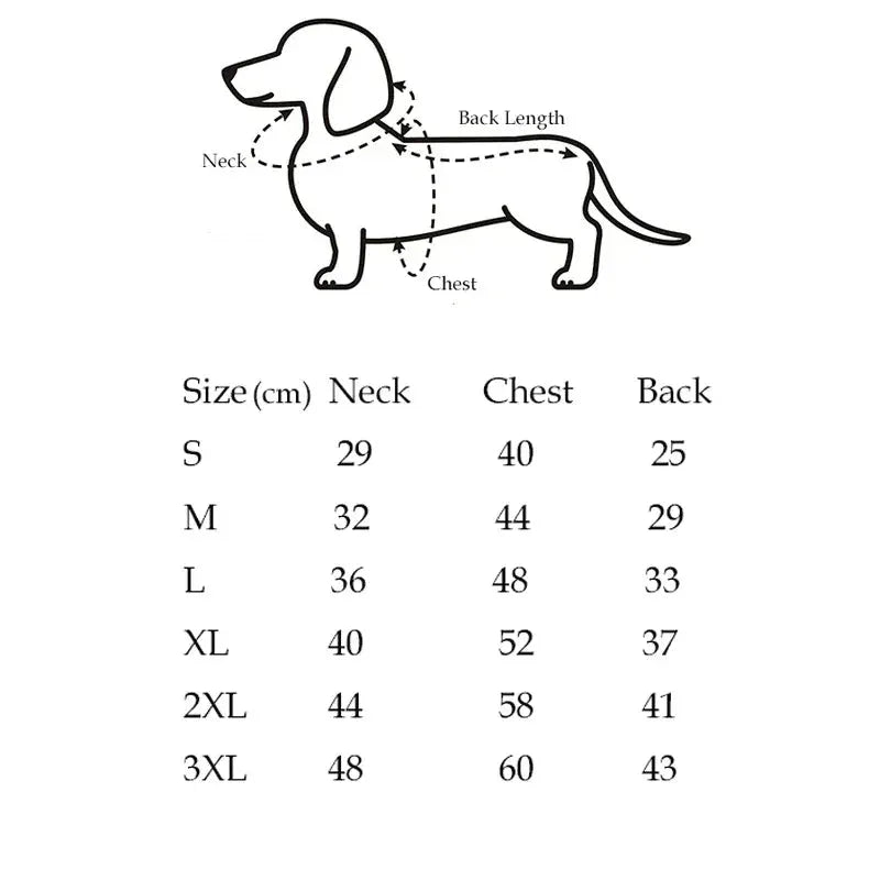 Dachshund Winter Waistcoat The Doxie World