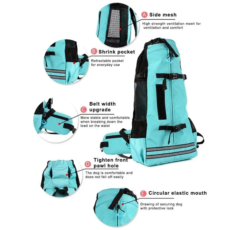 Dog Travel Backpack The Doxie World