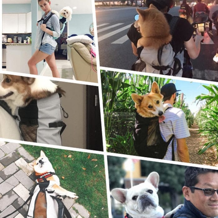 Dog Travel Backpack The Doxie World