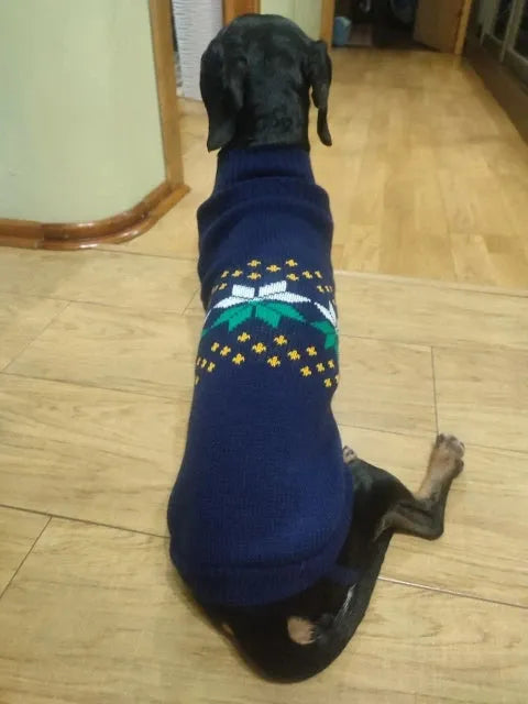 Navy Sausage Dog Sweater