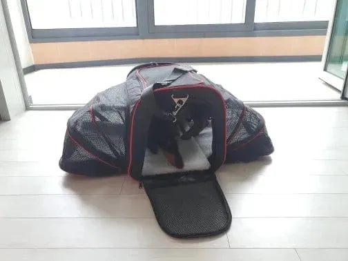 Expandable Dachshund Carrier The Doxie World