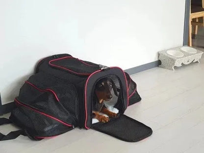 Expandable Dachshund Carrier The Doxie World