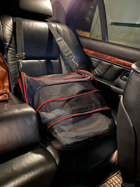 Expandable Dachshund Carrier The Doxie World