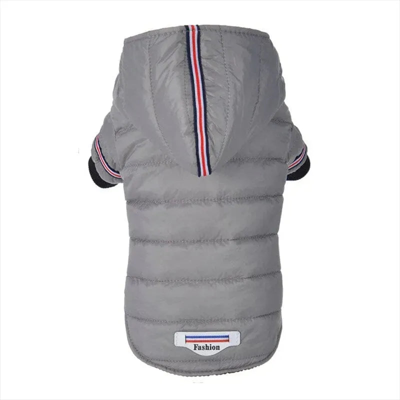 Fashion Puffer Dachshund Jacket The Doxie World