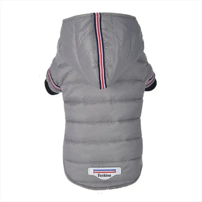 Fashion Puffer Dachshund Jacket The Doxie World