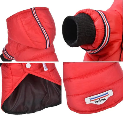 Fashion Puffer Dachshund Jacket The Doxie World