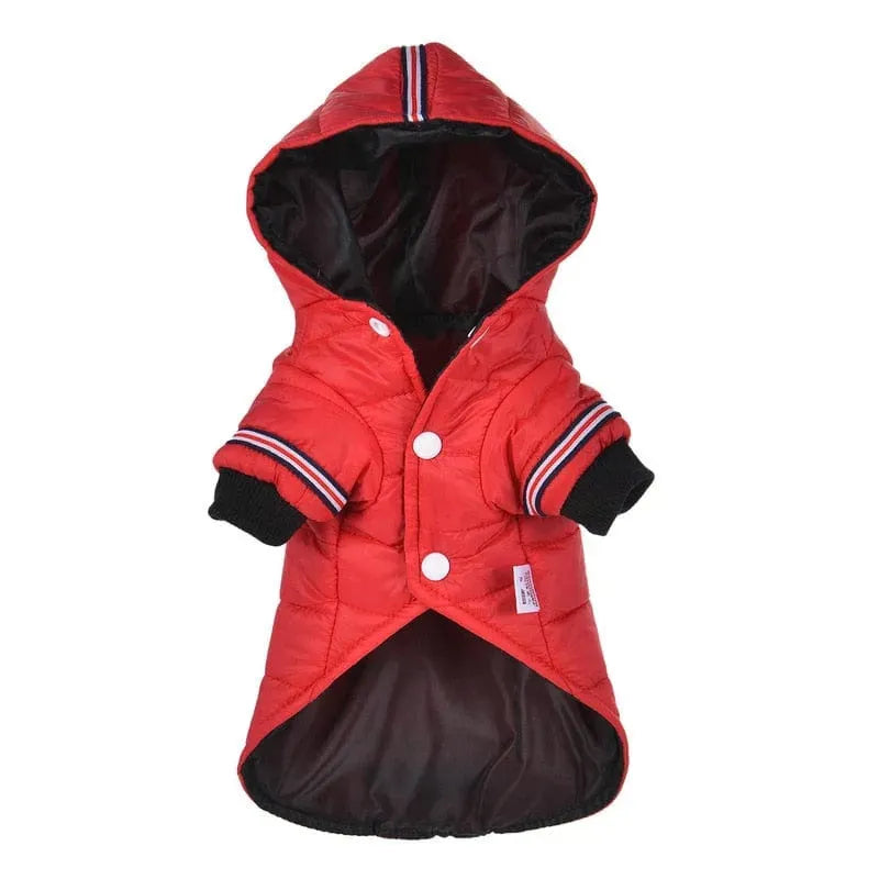 Fashion Puffer Dachshund Jacket The Doxie World